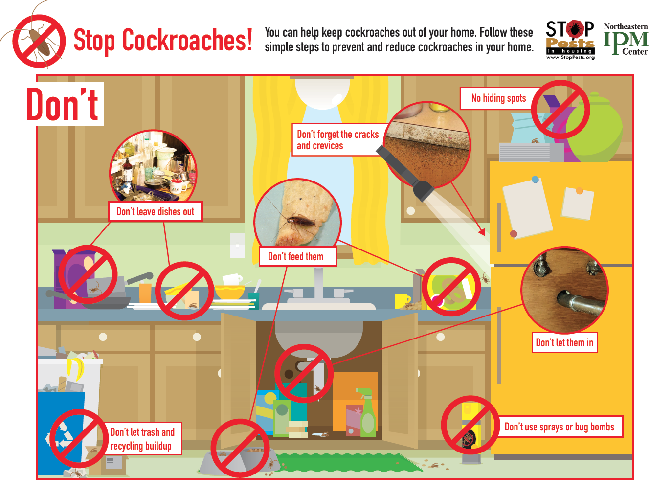 A guide with pictures shows what you should not do when preventing and controlling cockroaches